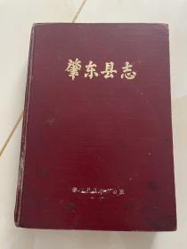 肇东县志