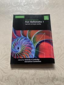 Pure Mathematics 1