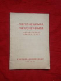 一生只信毛主席的革命路线，一生奉献给毛主席的革命路线