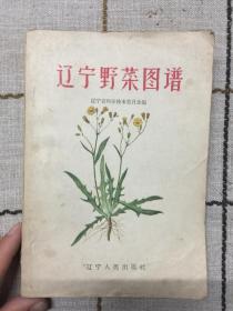 辽宁野菜图谱