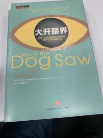 大开眼界：用另一双眼睛看透这疯狂世界、奇妙生活和美丽人生