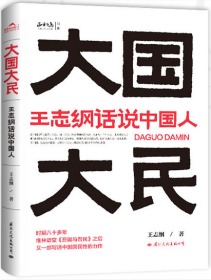 正版新书 大国大民 王志纲话说中国人 大国密码 大民须知 一言难尽的中国人 国际文化出版公司9787512512184