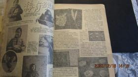 1957年《科学画报》（第5.7-9.11）期刊杂志5本合订 破损中品