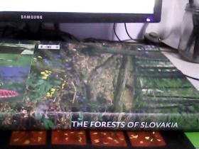 外文版不详：THEFORESTSOFSLOVAKIA（硬精装.书厚.重）---存放南架二（1）