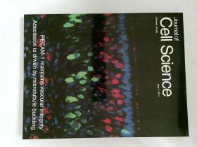 Journal of Cell Science 2011/05/01 细胞科学 细胞生物学原版外文杂志期刊