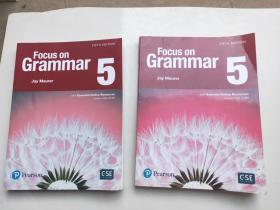 Focus on Grammar 5