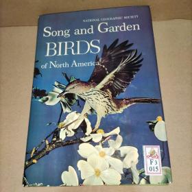 Song and Garden BIRDS of North America 北美洲的鸣禽和花园鸟 (精装英文原版)实物图 附音乐