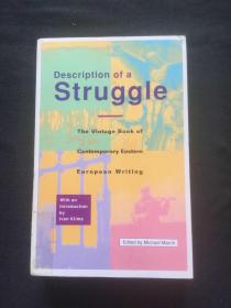 Description of a Struggle : The Vintage Book of Contemporary Eastern European Writing