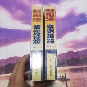 新刑法案例评析 . 上下 : 根据全国人大常委会刑法修正案和“两高”最新司法解释编写