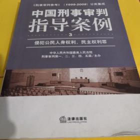 中国刑事审判指导案例（侵犯公民人身权利、民主权利罪）