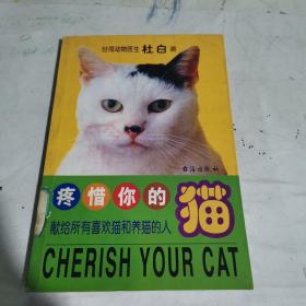 疼惜你的猫