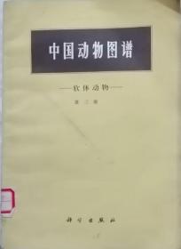 中国动物图谱-软体动物（第三册） 