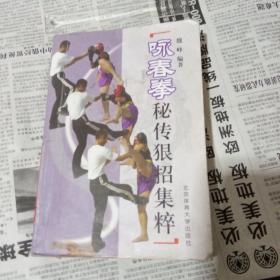 咏春拳：秘传狠招集粹