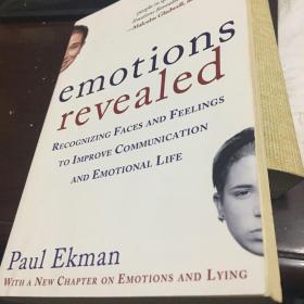 Emotions Revealed：Understanding Faces and Feelings