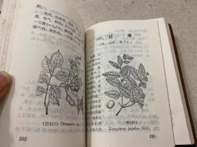 常用中草药手册