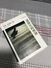 迷路庄的惨剧：横沟正史作品·金田一探案集07