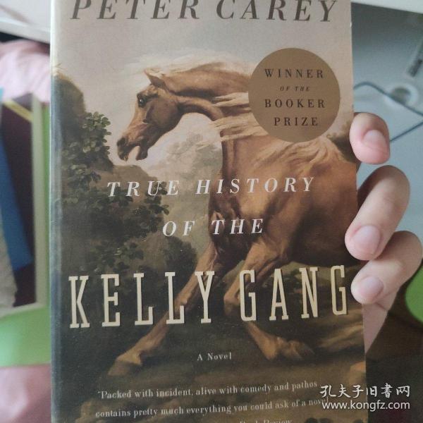 True History of the Kelly Gang：A Novel