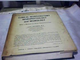 临床神经解剖学神经   CLINCAL NEUROANATOMY NEUR OPHYSOIOGY nd NEROGY