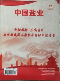 中国盐业   2020年第7期（总第358期）