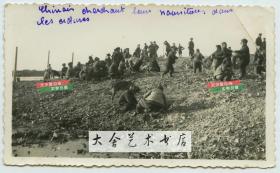 民国时期天津北洋气局东局子法国兵营附近，捡拾军营倒出的乏煤煤核一类物资的中国儿童老照片