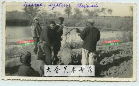 民国时期冬季天津百姓用双人称将蔬菜称重过磅老照片，土豆或马铃薯一类的作物产出