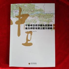 宁夏中卫市沙坡头区耕地地力评价与测土配方施肥