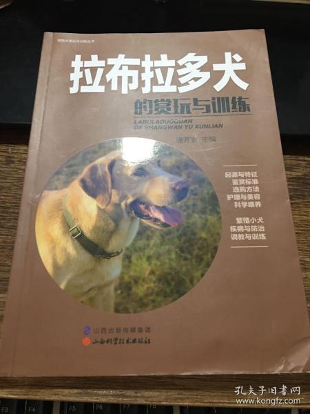 拉布拉多犬的赏玩与训练