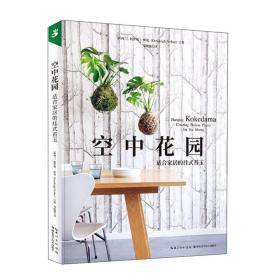 空中花园：适合家居的挂式苔玉