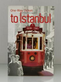 去伊斯坦布尔的单程票：作家笔下的伊斯坦布尔故事One-Way Ticket to Istanbul （城市与文学）英文原版书