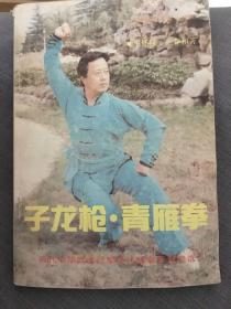 子龙枪．青雁拳