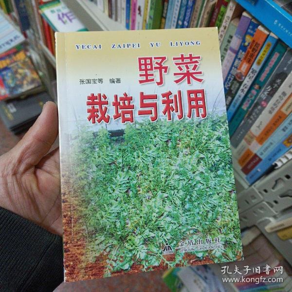 野菜栽培与利用