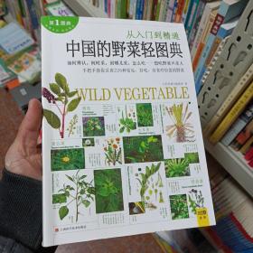 中国的野菜轻图典