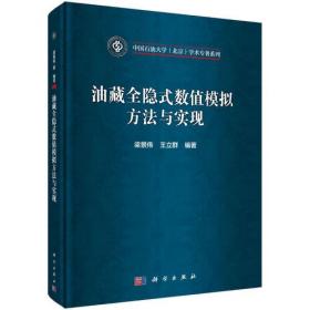 油藏全隐式数值模拟方法与实现