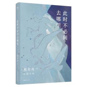 此时不必问去哪里（80后文学领军作家独木舟暌违五年，2020长篇力作）