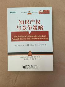 知识产权资产评估促进工程系列丛书：知识产权与竞争策略9787121152818电子工业出版社