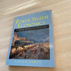 Power System Economics：Designing Markets for Electricity