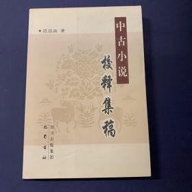 中古小说校释集稿