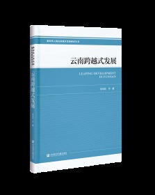 云南跨越式发展                     新时代云南民族地区发展研究丛书                 梁双陆 等著