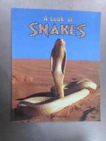 英文书   A Look at Snakes