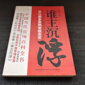 谁主沉浮1：从八品乡官到省级高官