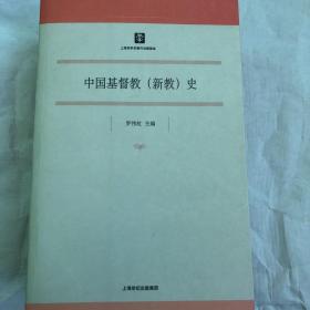 【正版现货，一版一印】中国基督教（新教）史（罕见平装本）罗伟虹主编，姚民权等参与编写，对基督教两百年历史进行梳理