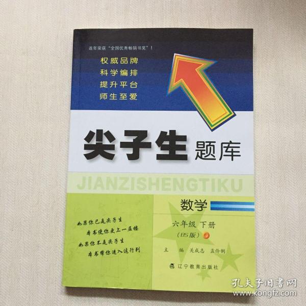 2020春尖子生题库系列--数学六年级下册（北师版）（BS版）