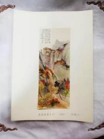小卡片——吴镜汀-高高的富合村+竹子和猫（画报剪贴）