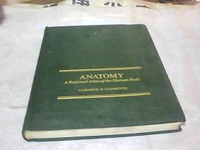 解剖   ANATOMY