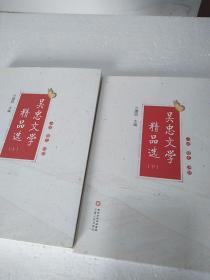 吴忠文学精品选（套装共2册）