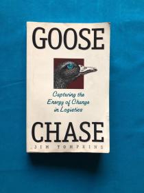 GOOSE CHASE,capturing the energy of change in ligistics鹅追逐, 捕捉物流变化的能量