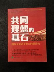 共同理想的基石：国有企业若干重大问题评论