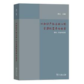 以知识产权为核心的资源配置导向目录：理论、方法与应用(平)