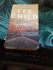 Echo Burning (Jack Reacher 05)