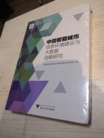 中国智能城市信息环境建设与大数据战略研究 中国智能城市建设与推进战略研究